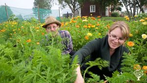 A Family Farm Since 1650: Growing Vegetables and Sharing Knowledge on Latitude 63