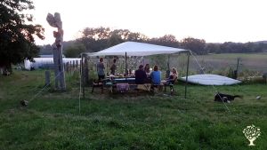 Hof mit Gemüsegarten, Tieren, Gewölbekeller zum Musizieren und viel Platz