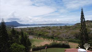 Verger en perma culture transition vers agro syntropie