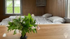 Carpenter & researcher couple with a self-sufficient farm, animals, garden, forest & cozy guest stay