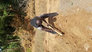 Alternative co-operative community, Family home and garden - urban, Family home and garden - rural