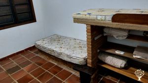 Agroforestry, Stingless Beekeeping, and Orchids at the Foot of Corcovado Peak