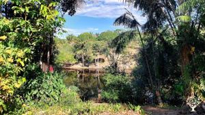 Eu estou transformando uma área degradada em uma agrofloresta.