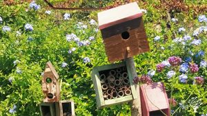 Smallholding, Aquaponics/Bioponics farm, Fruit tree nursery, Neighbourhood Garden