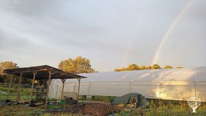 Ferme maraichère biologique, non mécanisé