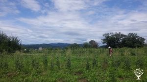 <GG129>자연과 함께하는 농사를 배웁니다 / Learn farming together with nature