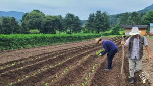 <GG135> 재생과 순환이 이루어지는 생명역동농장/ The Bio-dynamics farm where renewal and sustainability thrive