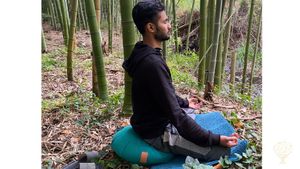 Méditation sous les bambous