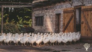 Agritourism Destination, Homestead, Mixed Farm, Farm, Family farm