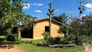 Agroecologia, Arte e Cura | Sistemas Agroflorestais e Pecuária Regenerativa