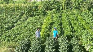 <GG129>자연과 함께하는 농사를 배웁니다 / Learn farming together with nature