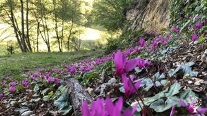 Sito ecoturistico , Frutteto, Fattoria di famiglia