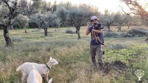 Beginning of a food forest and organic dairy farm in central  Portugal