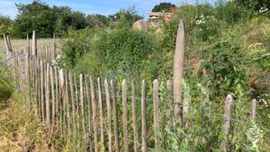 Blick entlang des Walls vom Schwimmteich auf die `alte` Scheune