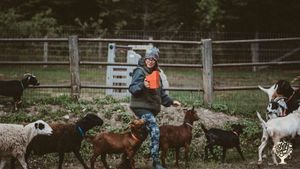 Carmen and her goats