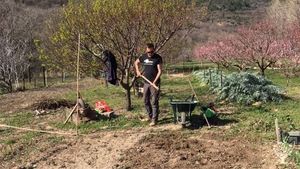 Oliviers et Jardins