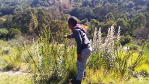My son working on the garden