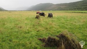 Small farm in the Highlands of Scotland.