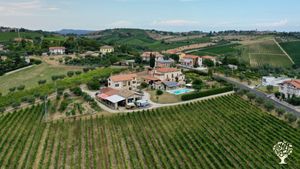 Destinazione Agrituristica, Fattoria non professionale, Vigneto, Frutteto, Azienda agricola