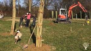 Familienbetrieb, Biobauernhof, Ziegenhaltung mit Käserei im Bodenseehinterland