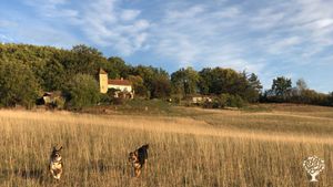 Création d’un lieu résilient avec design en permaculture