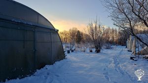 Bio, Demeter, Community Supported Agriculture small farm close to Flensburg