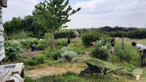 Vie associative, permaculture, maraichage