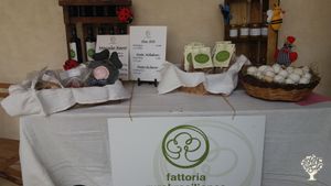 Fattoria biologica ai piedi del Gran Sasso