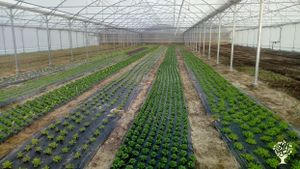 Ferme maraichère bio en Ile de France