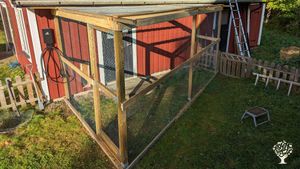 Vegetable gardening, some chickens and building things