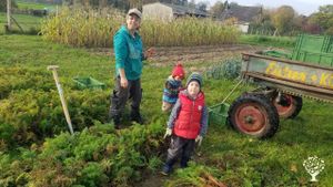 Kleine Gemüse-Solawi im Landkreis Gifhorn, Market Garden