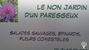 Jardin de plantes sauvages + qlqs fleurs comestibles + qlqs condimentaires et médicinales