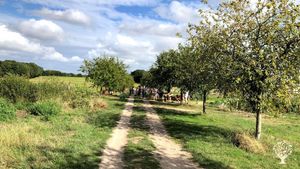 Ferme en maraichage bio et en agroforesterie