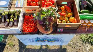 Ferme urbaine en maraichage biologique