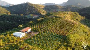 Cerfiticated organic food production, agroforestry and medicinal plants