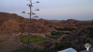 Family home and garden - rural, Hobby Farm, Orchard