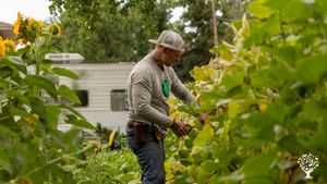 2 acre urban farm on the Colorado front range that provides opportunities for the local community