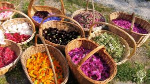 Fattoria di famiglia