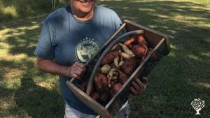32 acre hobby farm focused on self sustaining farming methods in North Carolina