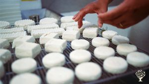 Elevage de chèvres des Pyrénées avec transformation fromagère