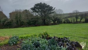 House and garden, allotment group, campsite