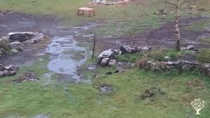 Communal living / cohousing