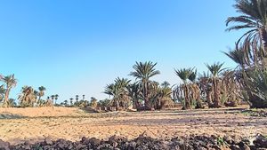 Come help us to build our guest house family in Tagounite and discover berber culture