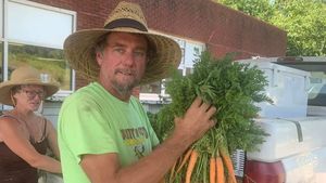 John and Laura loading carrots for market 