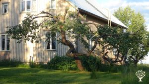 Family home and garden - rural, Agritourism Destination