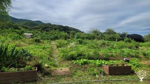 <GG133>예술로 농사짓고 농사로 평화짓자 / Farm with art, build peace with farming