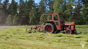 Self-sufficient organic family farm