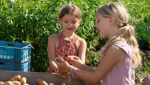 Flower Garden Farm, Farm, Family farm, Community farm