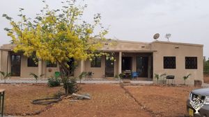 Guest lodges for up to 10 rooms fully equiped with TV Chanel and all utilities