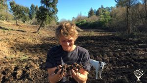 Permaculture vegetable garden